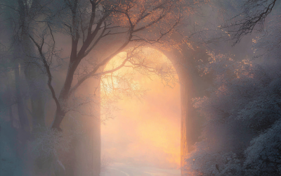 2025 Was a Rearrangement